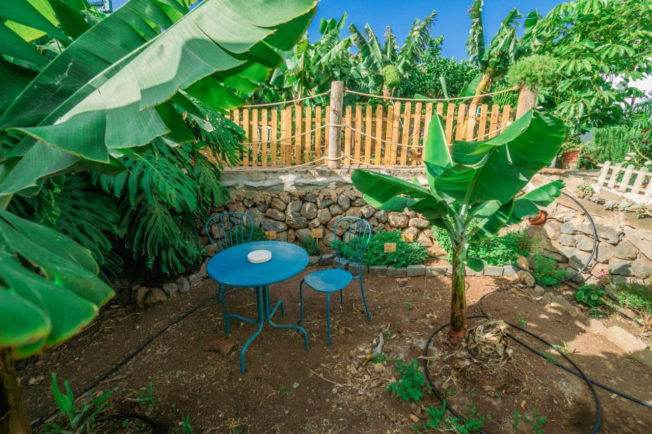 Casa Emblematica Maruca Y Leli Villa Los Silos Dış mekan fotoğraf