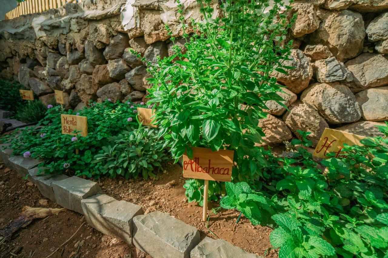 Casa Emblematica Maruca Y Leli Villa Los Silos Dış mekan fotoğraf